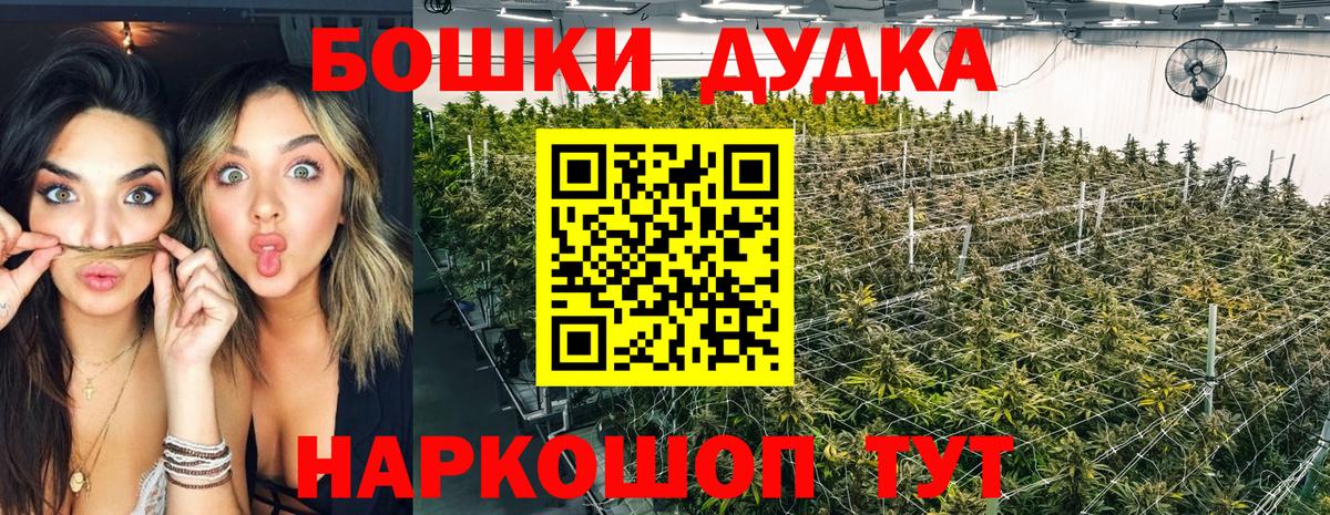 Марихуана AK-47  Марихуана планчик  Асбест  МАРИХУАНА план  Шишки марихуана OG Kush  Вход с VPN 